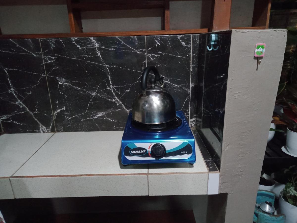 Dalindas Homestay Puerto Princesa Bagian luar foto